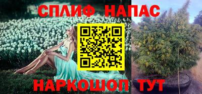 ГАЛЛЮЦИНОГЕННЫЕ ГРИБЫ Кумертау