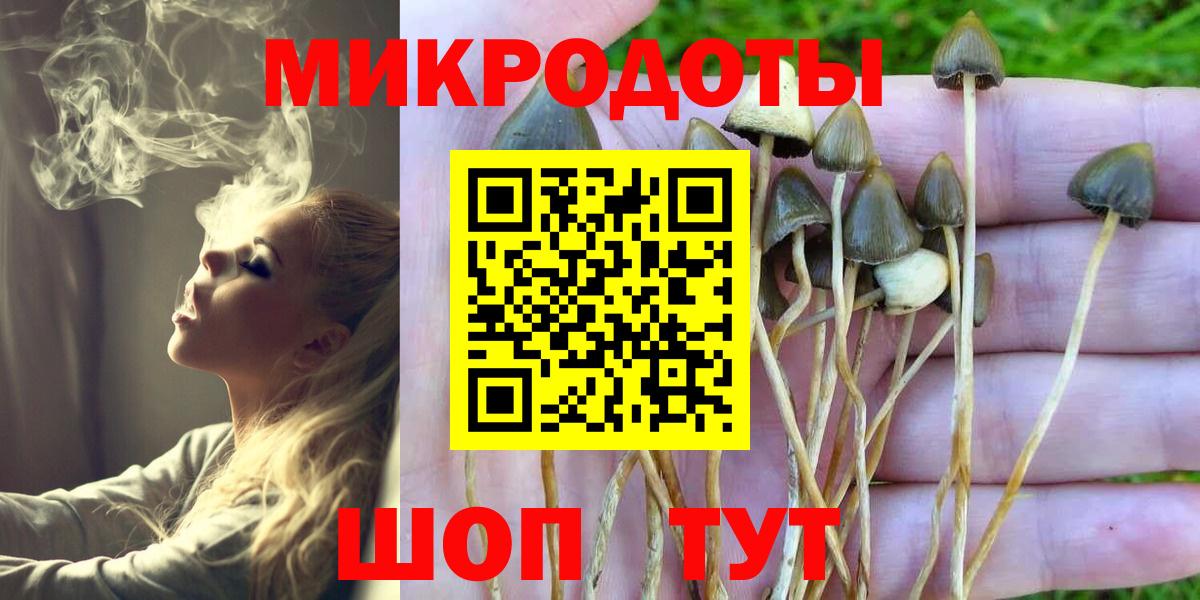 Псилоцибиновые грибы мухоморы Коломна